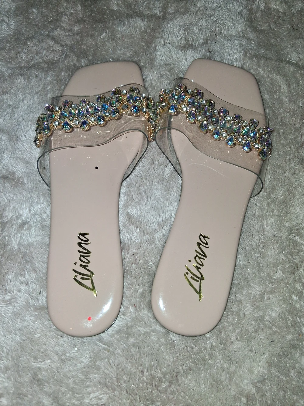 Liana Nude Embellished Crystal Slide Sandals
